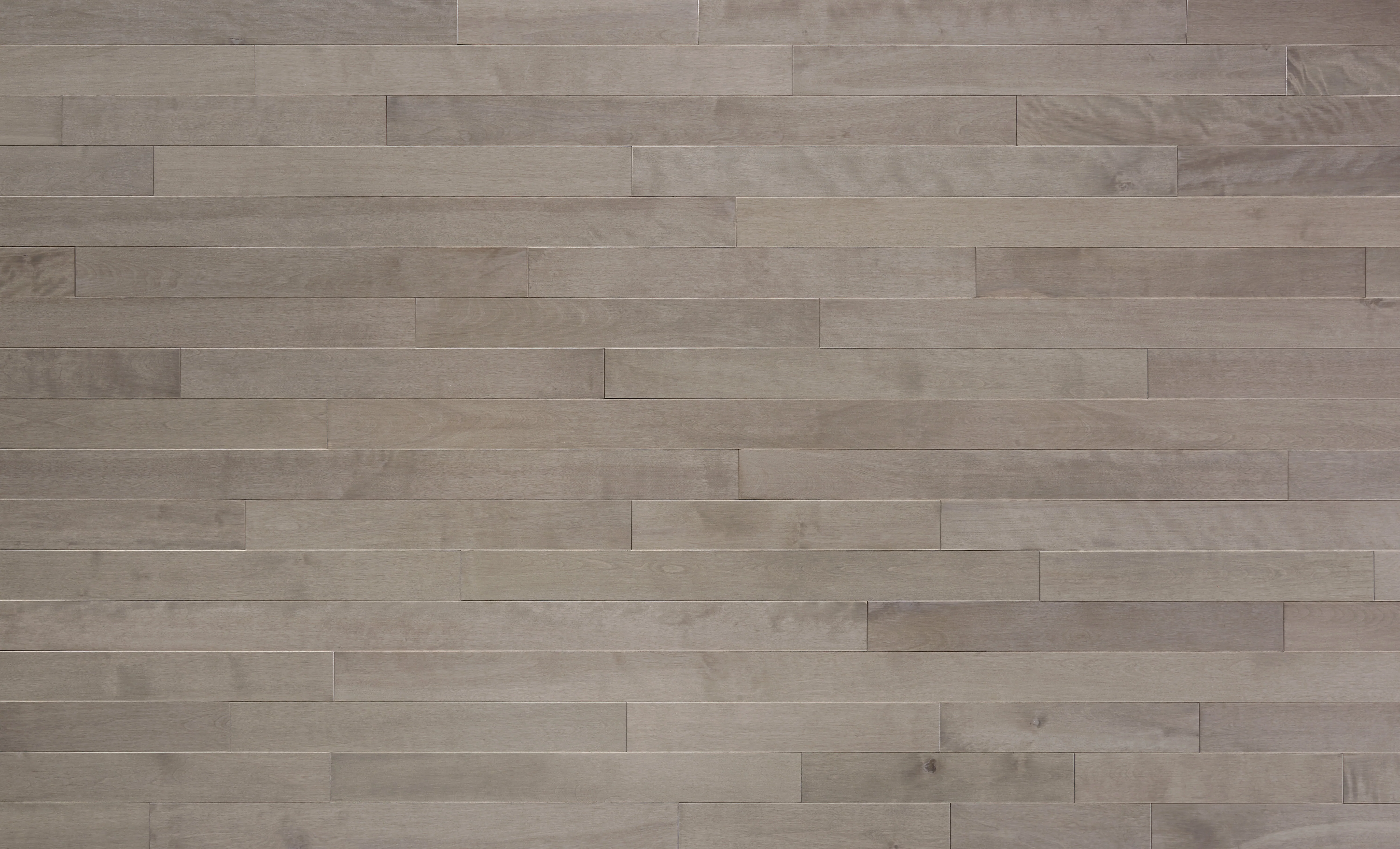 3/4 in. Pebble Island Birch Prefinished Solid Hardwood Flooring 3.25 in. Wide - Image 3